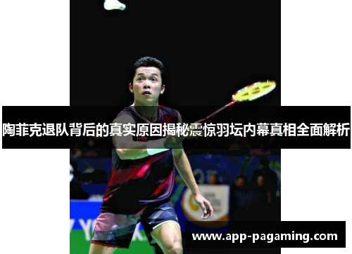 陶菲克退队背后的真实原因揭秘震惊羽坛内幕真相全面解析