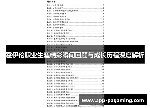 霍伊伦职业生涯精彩瞬间回顾与成长历程深度解析