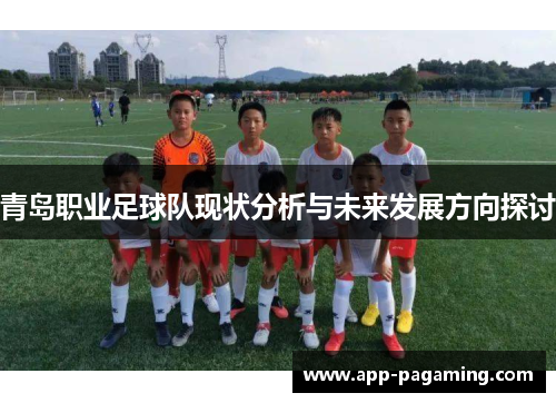 青岛职业足球队现状分析与未来发展方向探讨