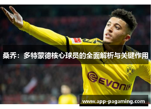 桑乔：多特蒙德核心球员的全面解析与关键作用