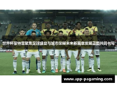 世界杯蒙特雷聚焦足球盛宴与城市荣耀未来新篇章发展蓝图共同书写