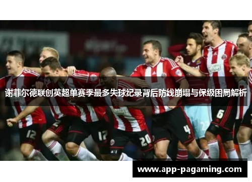 谢菲尔德联创英超单赛季最多失球纪录背后防线崩塌与保级困局解析